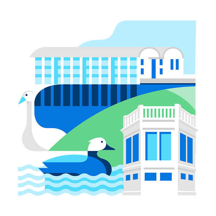 Drawing of birds on the pond, with the bandstand and City Hall.