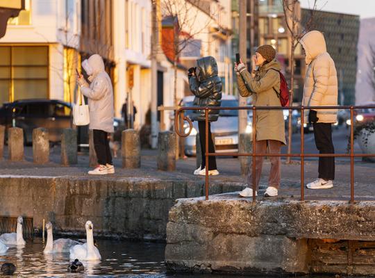 Fólk fylgist með fuglum niðri við Tjörnina í Reykjavík. 