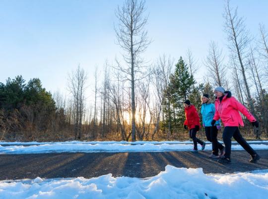 Three women walking in winter sunlight.