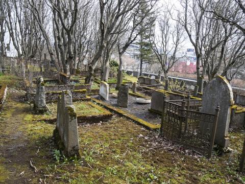 Gravestones in grass by trees
