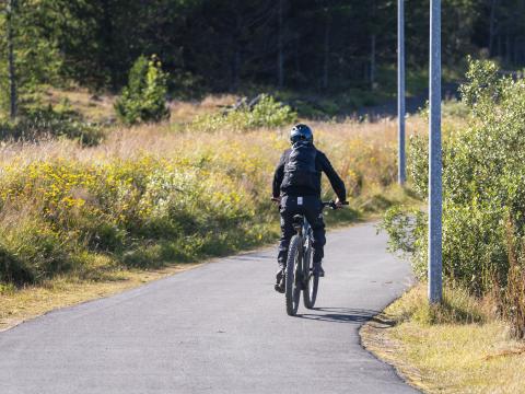 The number of people biking in the city has grown in recent years.