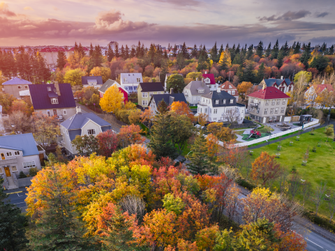 Aerial view of greenery and buildings in the center of Reykjavík.