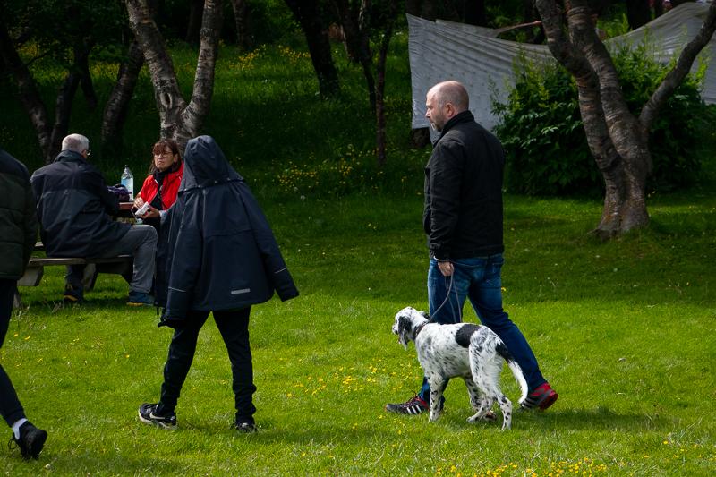 People walking their dogs in Hljómskálagarður