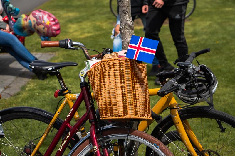 Image of a bicycle in Hljómskálagarður