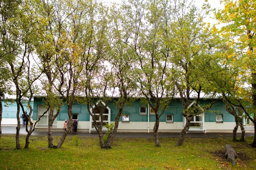 Sólborg preschool with tall deciduous trees in the foreground