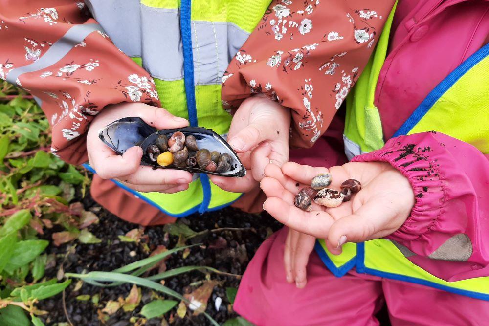 Children's hands holding small pebbles and shells