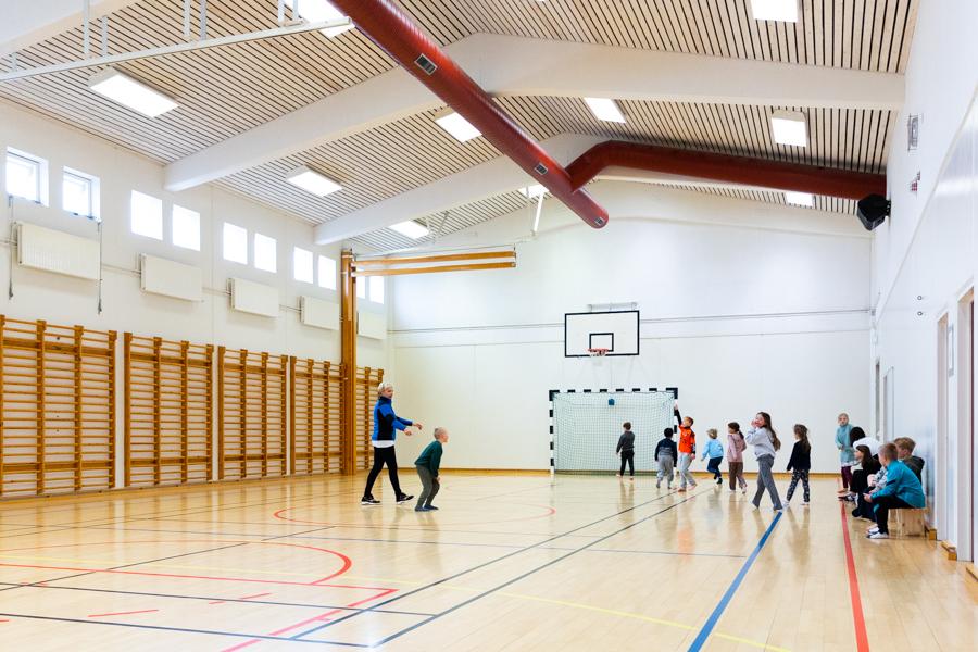 Children playing ball games in the gymnasium.
