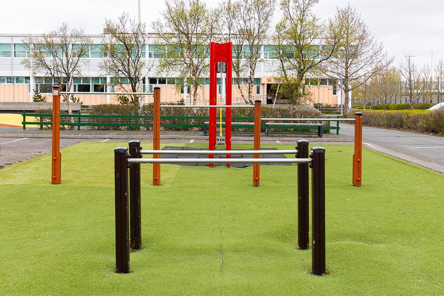 An outdoor play area with monkey bars and artificial turf.