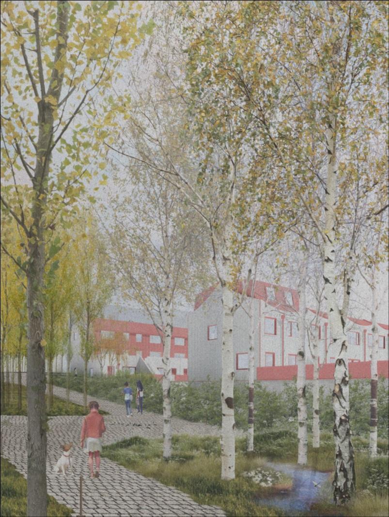 Suðurhólar