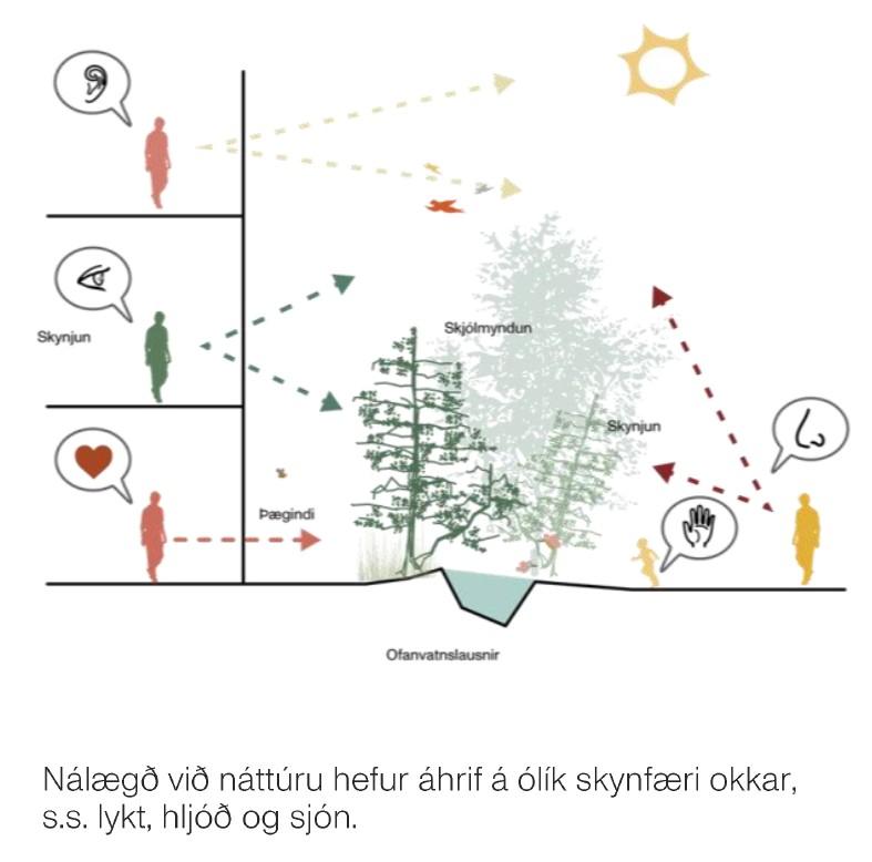 Hallar — close to nature.
