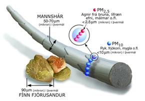 Particulates