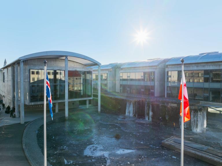 The Icelandic and Greenlandic flags at full staff on City Hall's flagpoles. City Hall in the background, sun in a blue sky. Calm.