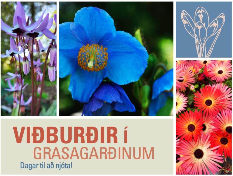 Images of flowers and text. 