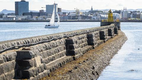 Við Reykjavíkurhöfn