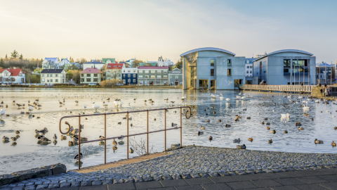A view across Tjörnin toward Reykjavík City Hall