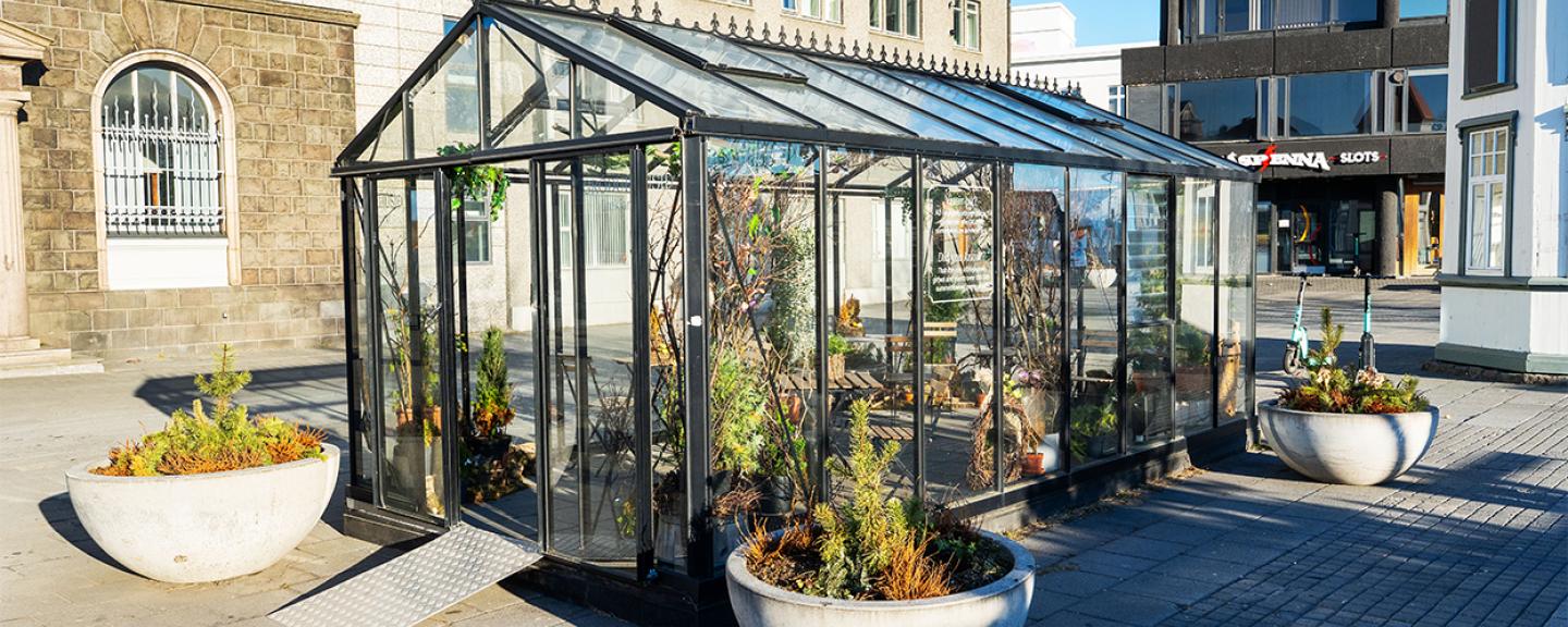 Greenhouse at Lækjartorg.